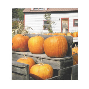 USA, Vermont. Pumpkins Notepad