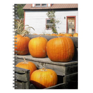 USA, Vermont. Pumpkins Spiral Notebook