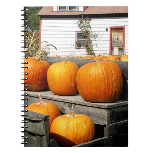 USA, Vermont. Pumpkins Spiral Notebook (Front)
