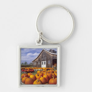 USA, Vermont, Shelbourne, Pumpkins Key Ring