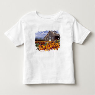 USA, Vermont, Shelbourne, Pumpkins Toddler T-Shirt