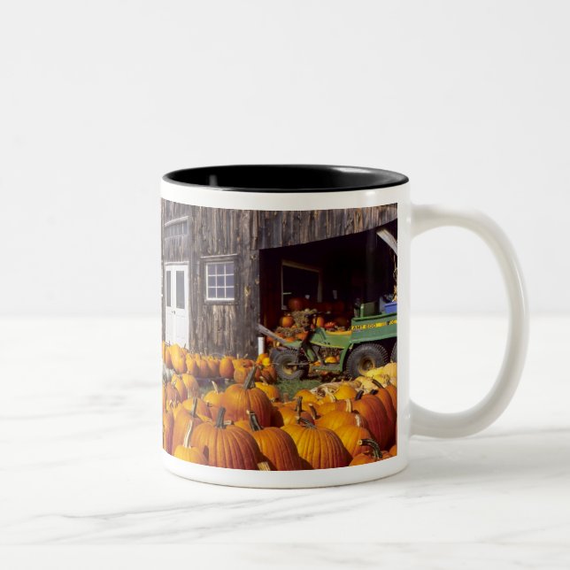 USA, Vermont, Shelbourne, Pumpkins Two-Tone Coffee Mug (Right)
