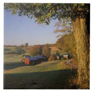 USA, Vermont, south Woodstock, Jenne Farm at Tile