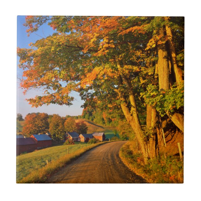 USA, Vermont, South Woodstock Tile (Front)