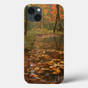 USA, Virginia, Autumn In Douthat State Park iPhone 13 Case