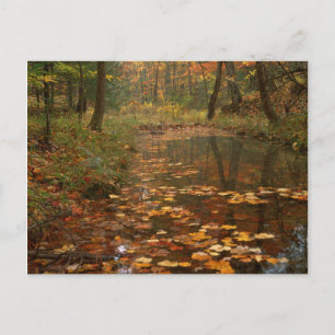 USA, Virginia, Autumn In Douthat State Park Postcard