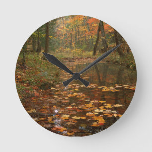 USA, Virginia, Autumn In Douthat State Park Round Clock