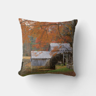 USA, Virginia, Blue Ridge Parkway, Autumn Cushion
