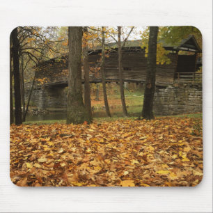 USA, Virginia, Covington, Humpback Covered Mouse Pad