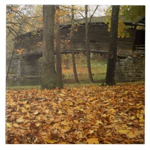 USA, Virginia, Covington, Humpback Covered Tile