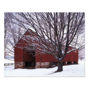 USA, Virginia, Fairfax County, Barn and Maple Photo Print