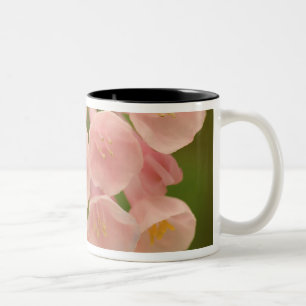 USA, Virginia, Manassas, Manassas National Two-Tone Coffee Mug