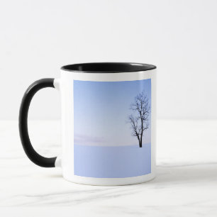 USA, Virginia, Page County, Black Locust Mug