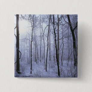 USA, Virginia, Richard Thompson Wildlife Area. 15 Cm Square Badge