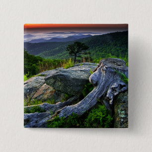USA, Virginia, Shenandoah National Park. 15 Cm Square Badge