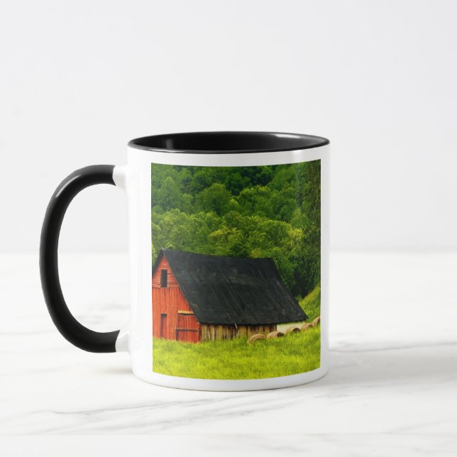 USA, Virginia, Shenandoah National Park, 2 Mug (Left)