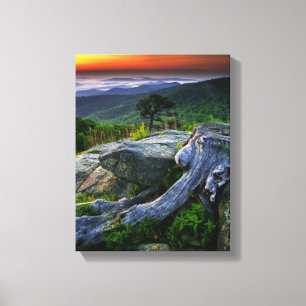USA, Virginia, Shenandoah National Park. Canvas Print