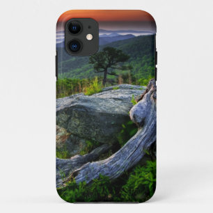USA, Virginia, Shenandoah National Park. Case-Mate iPhone Case