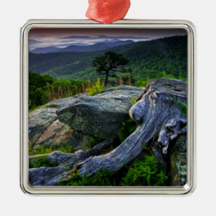 USA, Virginia, Shenandoah National Park. Metal Tree Decoration