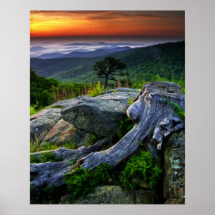 USA, Virginia, Shenandoah National Park. Poster