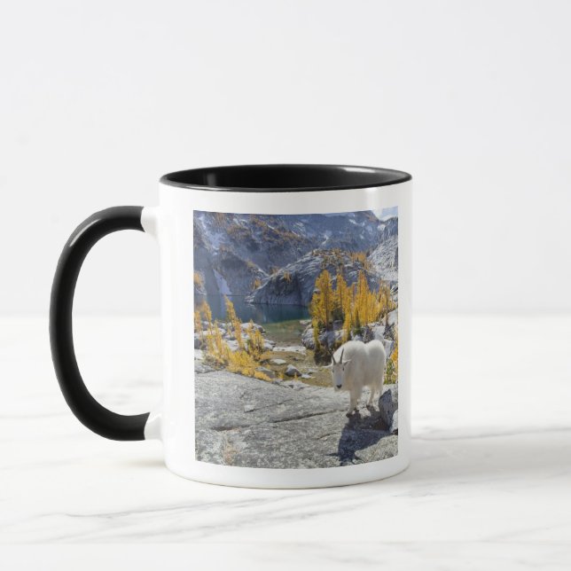 USA, WA, Alpine Lakes WIlderness Enchantments. Mug (Left)