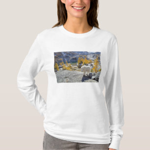 USA, WA, Alpine Lakes WIlderness Enchantments. T-Shirt