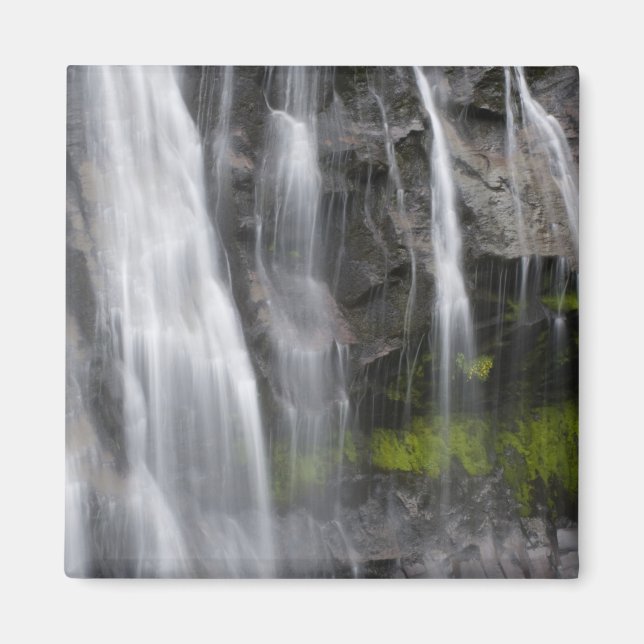 USA, WA, Mt. Rainier NP, Narada Falls Magnet (Front)