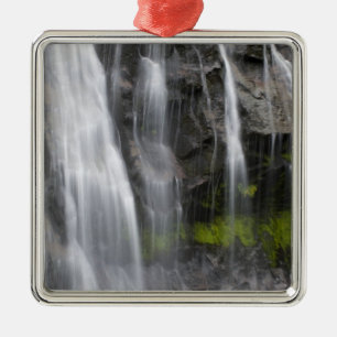 USA, WA, Mt. Rainier NP, Narada Falls Metal Tree Decoration