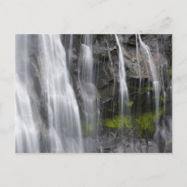 USA, WA, Mt. Rainier NP, Narada Falls Postcard (Front)