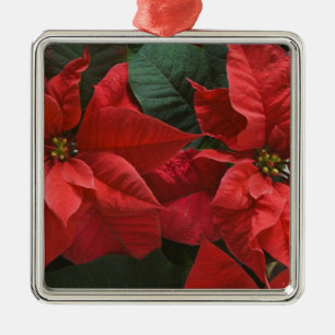 USA, WA, Red Poinsettia Detail (Euphorbia Metal Tree Decoration