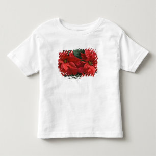 USA, WA, Red Poinsettia Detail (Euphorbia Toddler T-Shirt