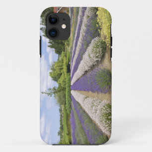 USA, WA, Sequim, Purple Haze Lavender Farm iPhone 11 Case