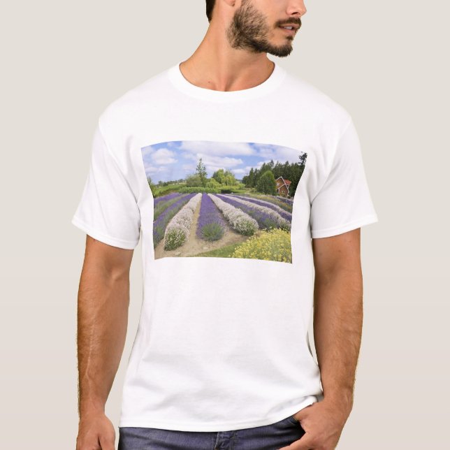 USA, WA, Sequim, Purple Haze Lavender Farm T-Shirt (Front)