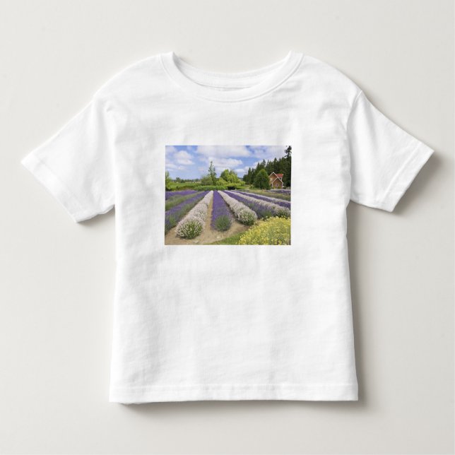 USA, WA, Sequim, Purple Haze Lavender Farm Toddler T-Shirt (Front)