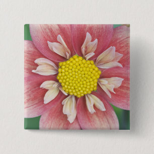 USA, Washington, Bellevue, Bellevue Botanical 15 Cm Square Badge