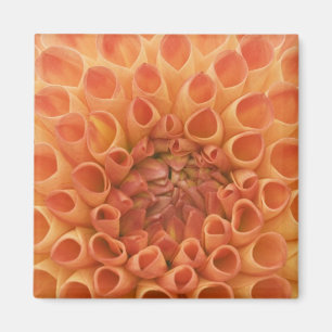 USA, Washington, Bellevue, Bellevue Botanical 3 Magnet