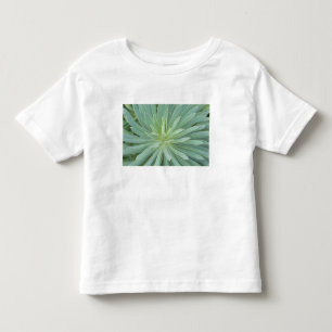 USA, Washington, Bellevue, Bellevue Botanical 4 Toddler T-Shirt