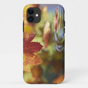 USA, Washington, Bellingham, Close-up of autumn Case-Mate iPhone Case