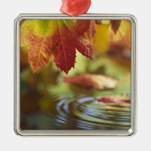 USA, Washington, Bellingham, Close-up of autumn Metal Tree Decoration