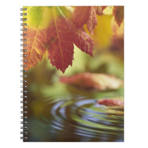 USA, Washington, Bellingham, Close-up of autumn Spiral Notebook