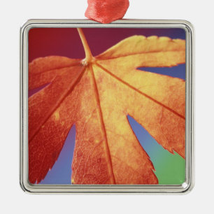 USA, Washington, Bellingham. Credit as: Steve Metal Tree Decoration