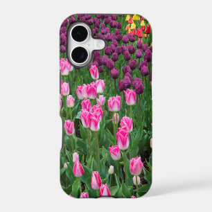 USA, Washington. Blooming Tulips