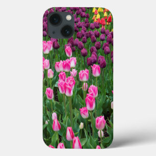 USA, Washington. Blooming Tulips iPhone 13 Case