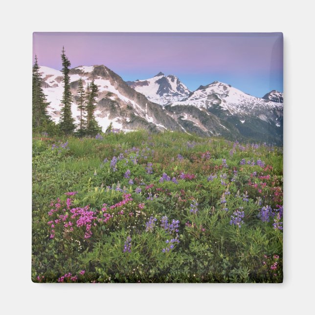 USA, Washington, Cascade Mountains, North Magnet (Front)