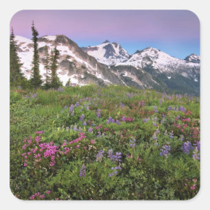 USA, Washington, Cascade Mountains, North Square Sticker
