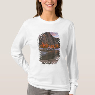 USA, Washington, Cascade Mountains. Prusik Peak T-Shirt