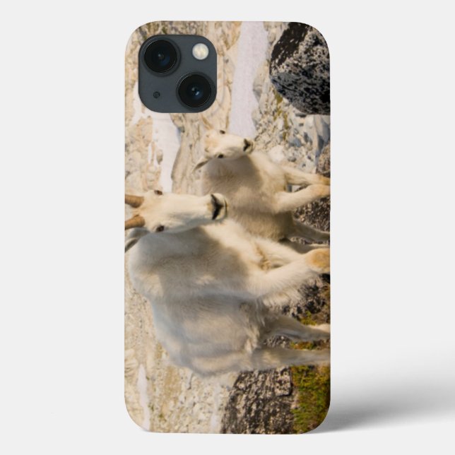 USA, Washington, Cascade Range 2 Case-Mate iPhone Case (Back)