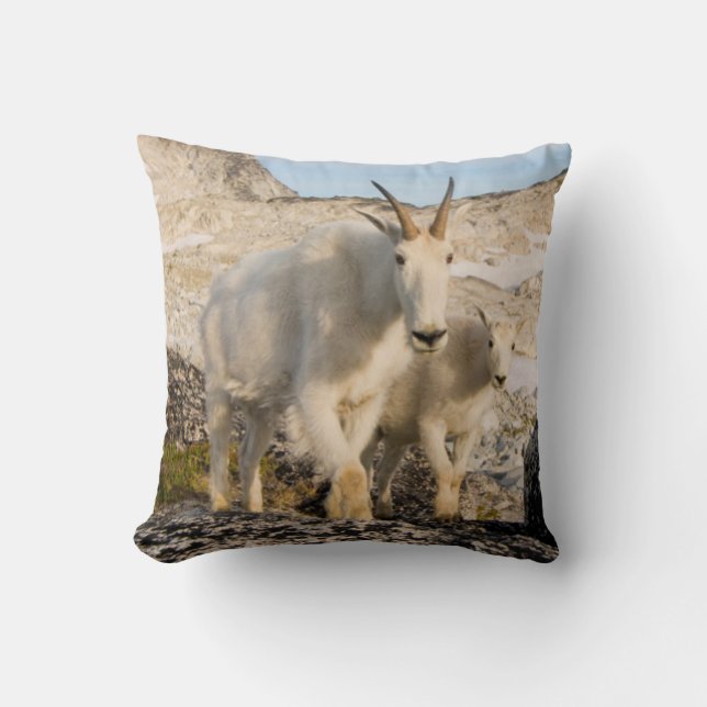 USA, Washington, Cascade Range 2 Cushion (Front)