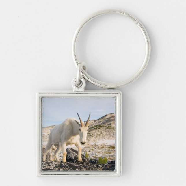 USA, Washington, Cascade Range 3 Key Ring (Front)