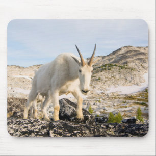 USA, Washington, Cascade Range 3 Mouse Pad